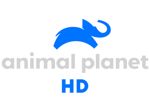 Animal Planet HD.in
