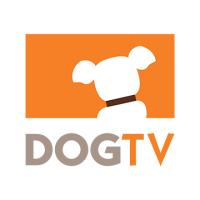DOGTV HD.br