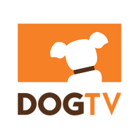 DOGTV.br