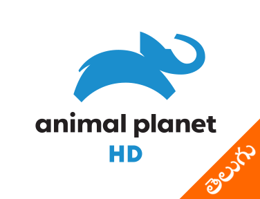 Animal Planet Telugu
