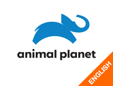 Animal Planet HD