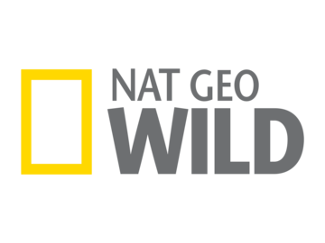 Nat Geo Wild.in